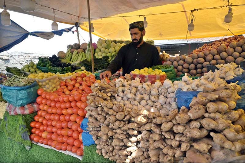 Punjab Agriculture Department promotes kitchen gardening for affordable home-grown vegetables