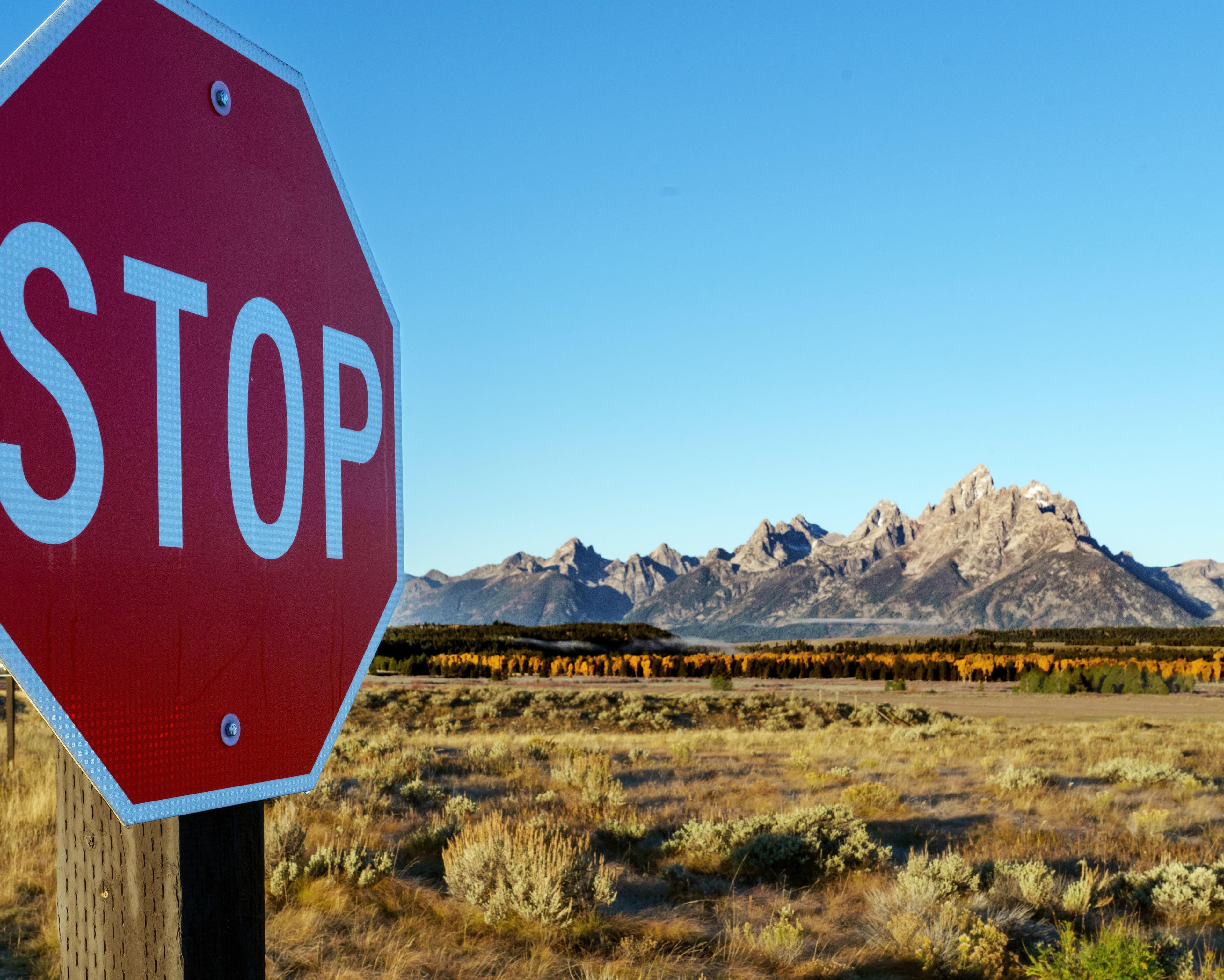 The Grand Teton national park in Wyoming. Photograph: Ronen Tivony/NurPhoto/Shutterstock