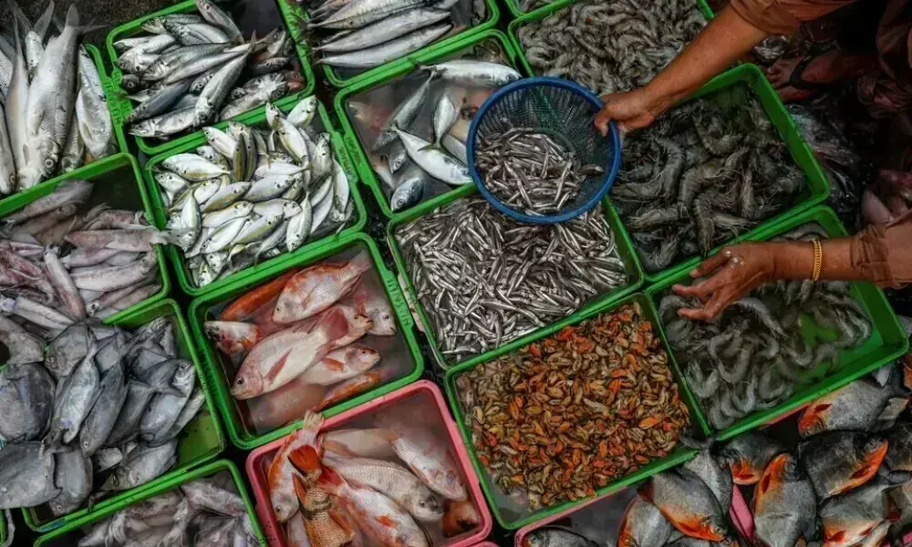 Pakistan's seafood exports reach record 8 million in FY26 Pakistan's seafood exports reach record 8 million in FY26