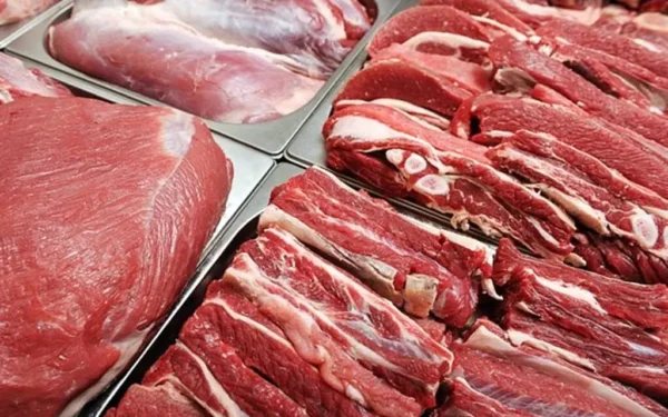 Punjab Government Launches Strategy to Enforce Halal Food Laws