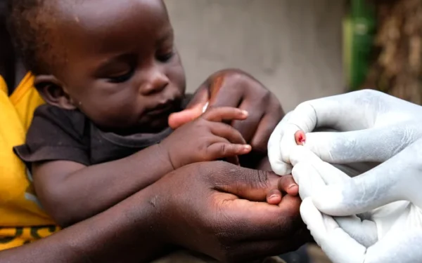 Catnip lotion as effective as Deet in repelling mosquitoes