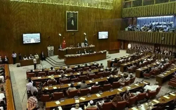 Senate panel demands stricter scrutiny of foreign-funded projects Senate panel demands stricter scrutiny of foreign-funded projects