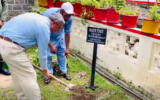 Ayub Medical Institution initiates tree plantation campaign