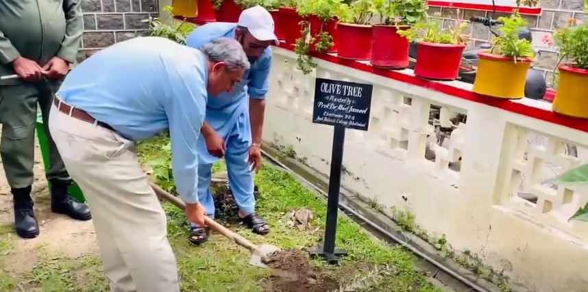 Ayub Medical Institution initiates tree plantation campaign