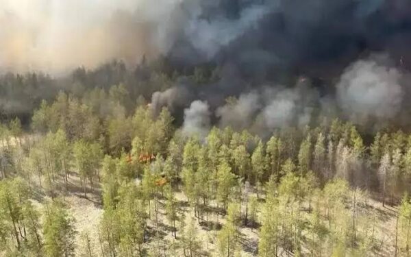 Kazakhstan reports eight forest fires amid heatwave Kazakhstan reports eight forest fires amid heatwave