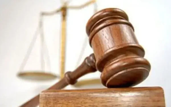 Court grants interim bail to Sozo Water Park CEO