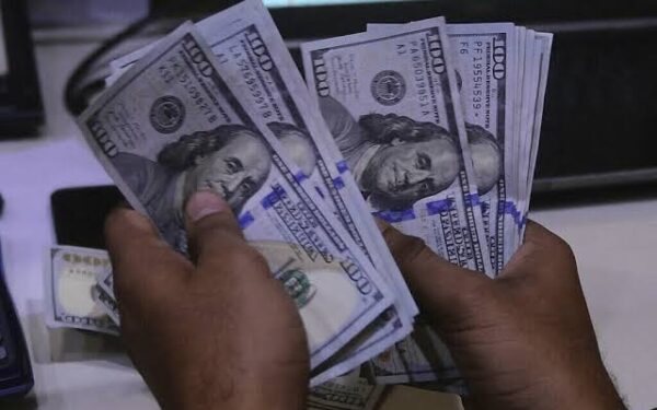 NBP Releases Latest Foreign Exchange Rates NBP Releases Latest Foreign Exchange Rates