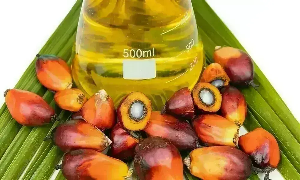Palm oil futures rise on strong crude and soyoil markets Palm oil futures rise on strong crude and soyoil markets