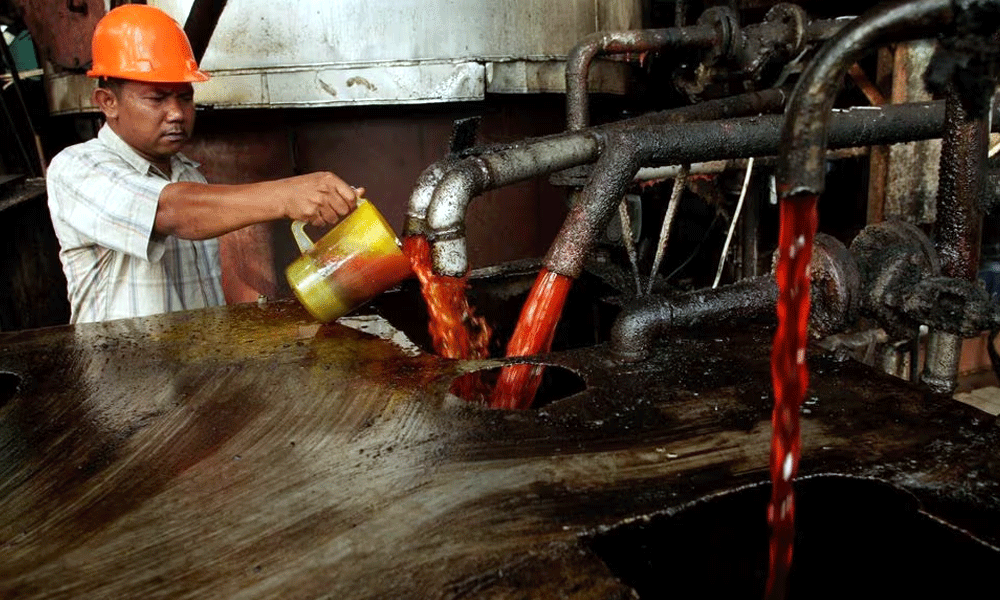 Malaysian Palm Oil Futures Fall but Set for Weekly Gain Malaysian Palm Oil Futures Fall but Set for Weekly Gain