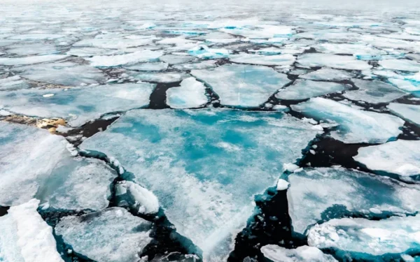 Arctic Sea Ice Decline Resumes After Decade-Long Slowdown Arctic Sea Ice Decline Resumes After Decade-Long Slowdown