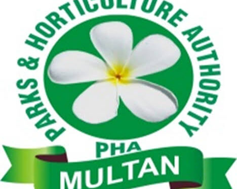 Multan set for extensive tree plantation campaign Multan set for extensive tree plantation campaign