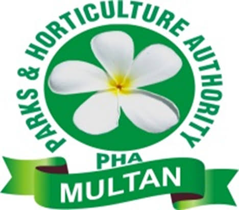 Multan set for extensive tree plantation campaign