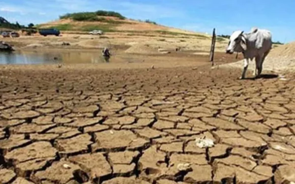 US agency predicts 'very strong' El Nino to rank among largest on record US agency predicts 'very strong' El Nino to rank among largest on record