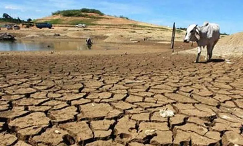 US agency predicts 'very strong' El Nino to rank among largest on record