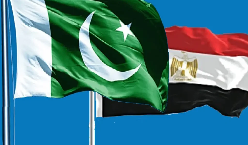 Pakistan-Egypt Bilateral Consultations Yield Positive Outcomes
