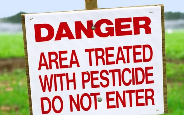 FDA rejects petition to limit Pfas in food FDA rejects petition to limit Pfas in food