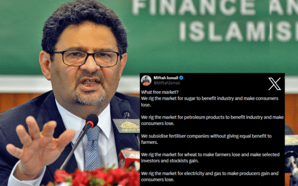 Former Finance Minister Criticizes Pakistan’s Economic System Former Finance Minister Criticizes Pakistan’s Economic System