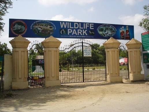 Dera Ismail Khan Wildlife Park Expansion Aims to Boost Eco-Tourism Dera Ismail Khan Wildlife Park Expansion Aims to Boost Eco-Tourism