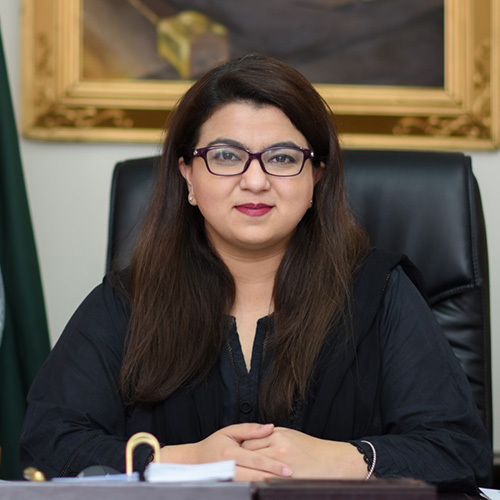 Pakistan reiterates commitment to Kashmir cause Pakistan reiterates commitment to Kashmir cause