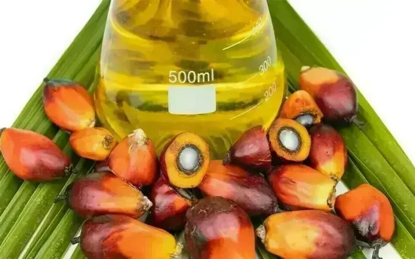 Indonesia's Palm Oil Exports Plunge 25.1% in May Indonesia's Palm Oil Exports Plunge 25.1% in May