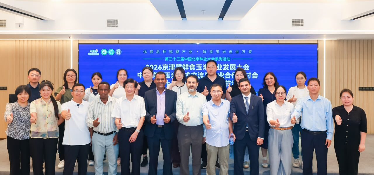 Experts hail China-Pakistan corn partnership for food security, agricultural trade Experts hail China-Pakistan corn partnership for food security, agricultural trade