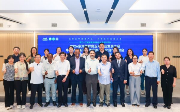 Experts hail China-Pakistan corn partnership for food security, agricultural trade