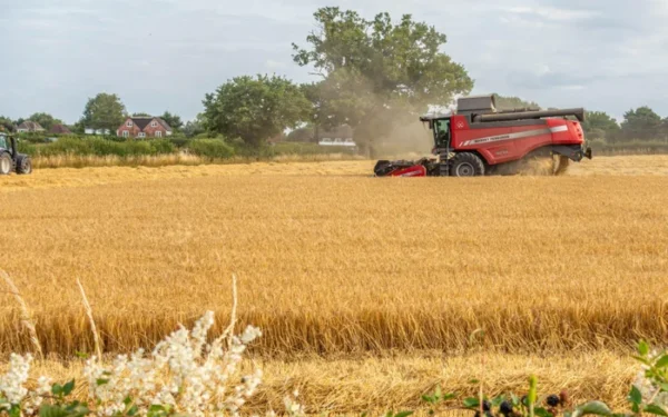 Heatwave Devastates European Crops, Pushing Up Food Prices