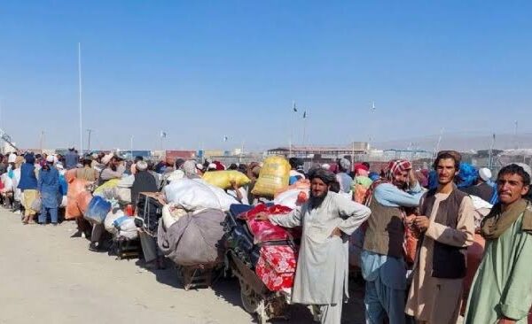 Punjab Repatriates Over 139,902 Illegal Afghan Nationals Punjab Repatriates Over 139,902 Illegal Afghan Nationals
