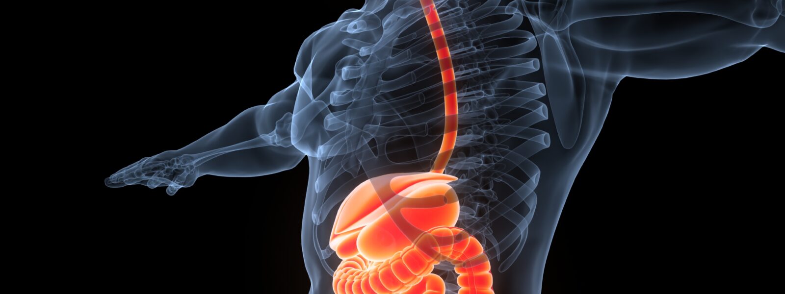 Gut Microbes Linked to Mental Health: New Research