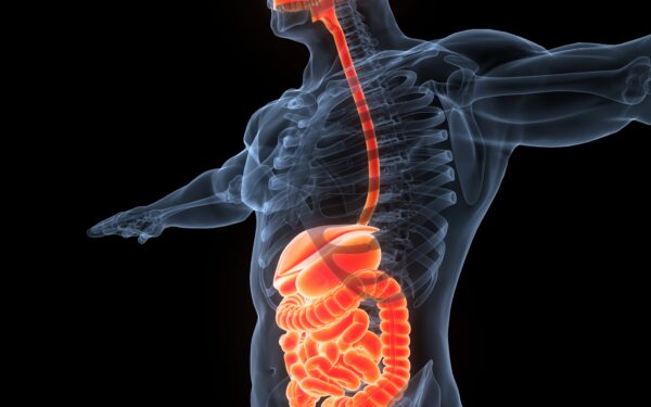 Gut Microbes Linked to Mental Health: New Research