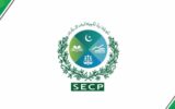 Veteran businessman stresses importance of developed capital market Veteran businessman stresses importance of developed capital market