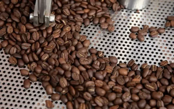 Arabica coffee prices surge due to supply tightness Arabica coffee prices surge due to supply tightness