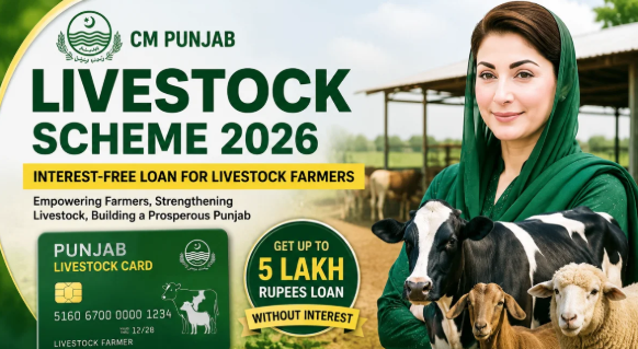 Punjab launches interest-free loan program for livestock farmers Punjab launches interest-free loan program for livestock farmers