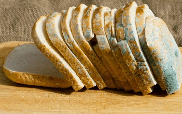 High Court Reverses Verdict Against Bread Manufacturers