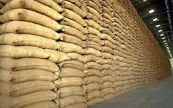 Punjab Launches Wheat Release Scheme to Stabilize Prices Punjab Launches Wheat Release Scheme to Stabilize Prices
