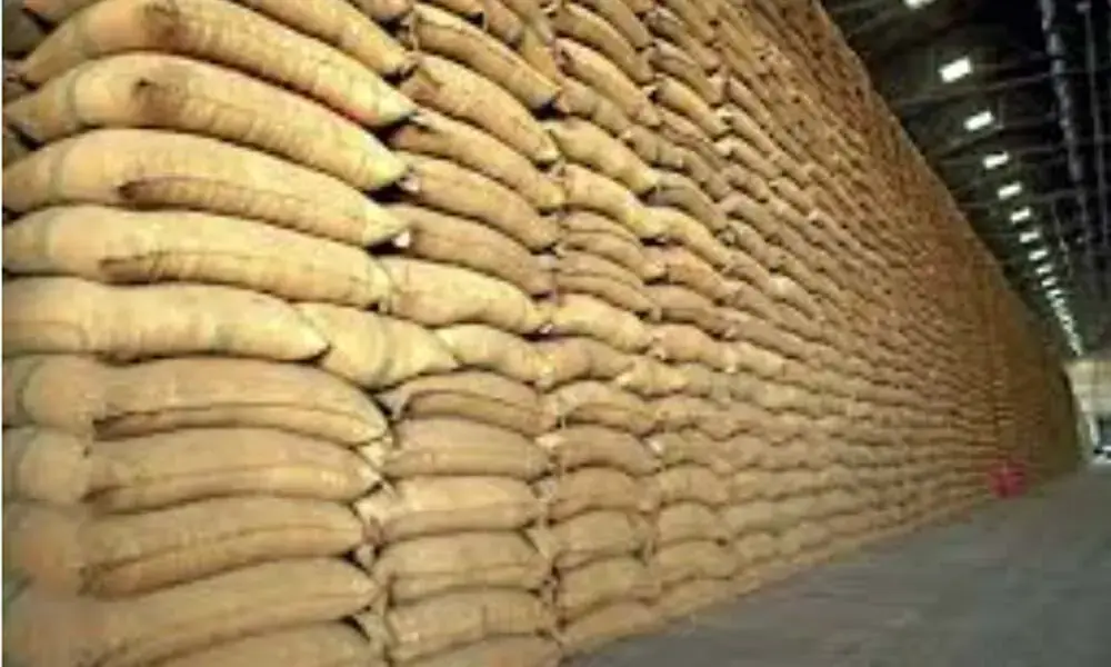 Punjab Launches Wheat Release Scheme to Stabilize Prices