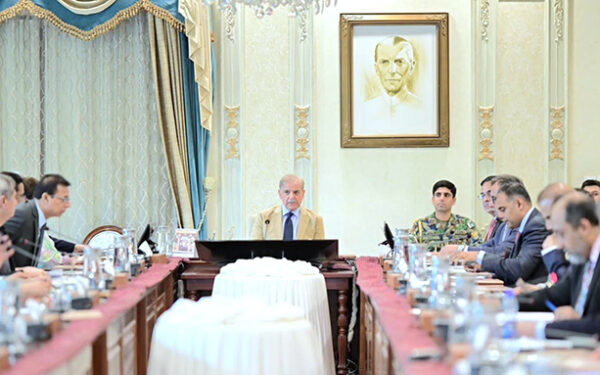 Prime Minister Chairs Meetings on Power and Consular Services
