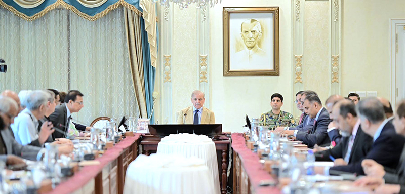 Prime Minister Chairs Meetings on Power and Consular Services