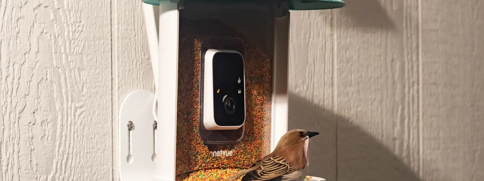 Birdfy Smart Feeder Offers Significant Discount During Midyear Sale Birdfy Smart Feeder Offers Significant Discount During Midyear Sale
