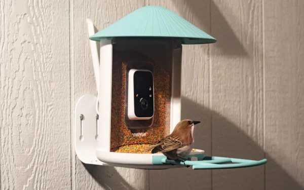 Birdfy Smart Feeder Offers Significant Discount During Midyear Sale Birdfy Smart Feeder Offers Significant Discount During Midyear Sale