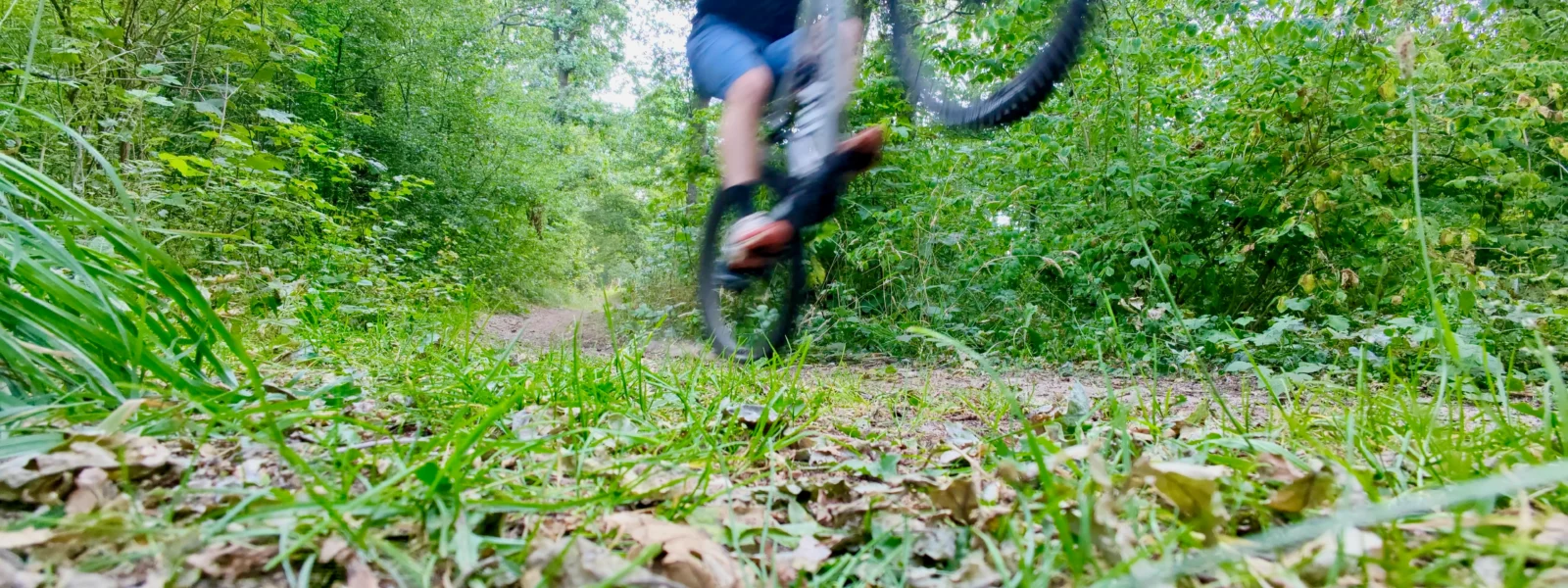 Electric mountain bikes prove their worth for purists Electric mountain bikes prove their worth for purists