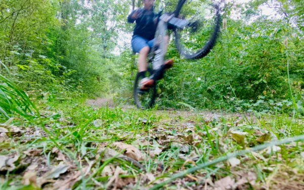 Electric mountain bikes prove their worth for purists Electric mountain bikes prove their worth for purists