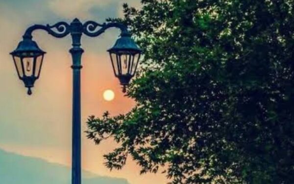 Thieves Steal Streetlight Wires in F-9 Park, Islamabad Thieves Steal Streetlight Wires in F-9 Park, Islamabad