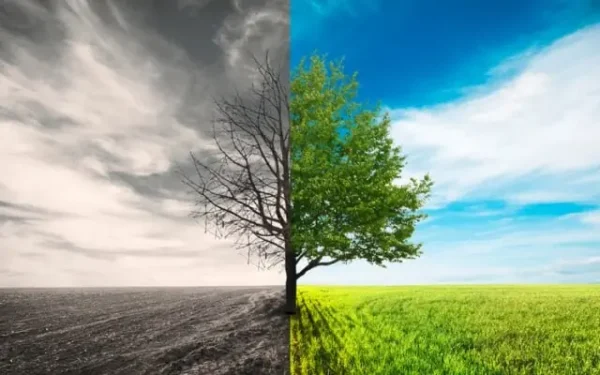 Experts Call for Enhanced Collaboration to Mitigate Climate Risks Experts Call for Enhanced Collaboration to Mitigate Climate Risks