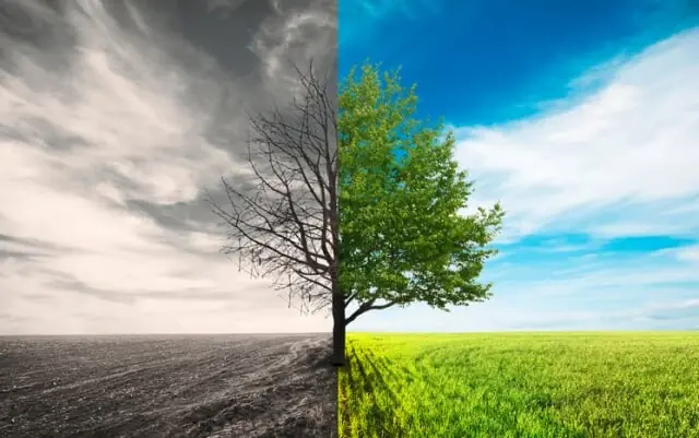 Experts Call for Enhanced Collaboration to Mitigate Climate Risks Experts Call for Enhanced Collaboration to Mitigate Climate Risks