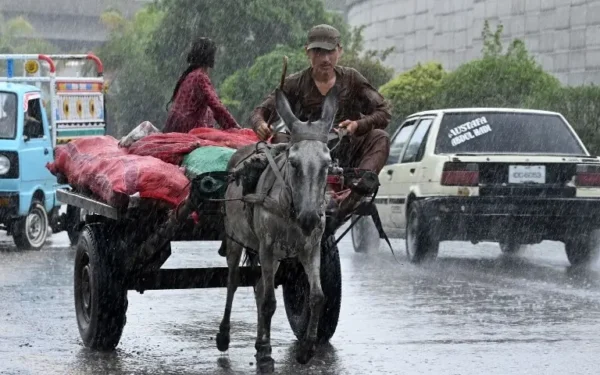 Rain-related fatalities rise to 18 in Khyber Pakhtunkhwa Rain-related fatalities rise to 18 in Khyber Pakhtunkhwa