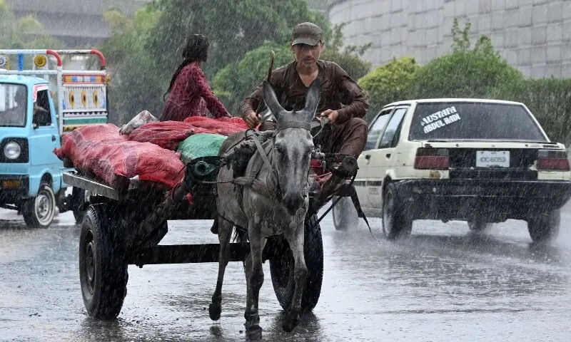 Rain-related fatalities rise to 18 in Khyber Pakhtunkhwa Rain-related fatalities rise to 18 in Khyber Pakhtunkhwa