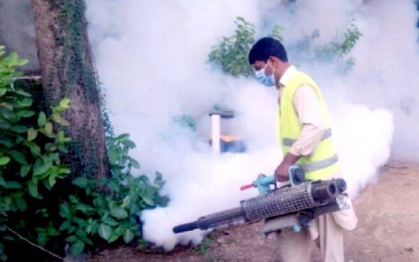 Dengue drive results in 20 arrests, two offices sealed Dengue drive results in 20 arrests, two offices sealed