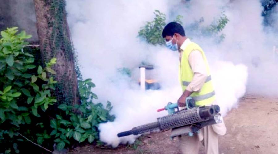Dengue drive results in 20 arrests, two offices sealed Dengue drive results in 20 arrests, two offices sealed