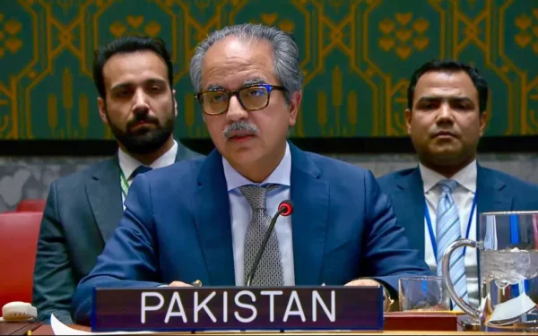 Pakistan calls for UN intervention to protect communities from mineral exploitation
